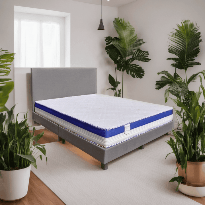 Cony Bedframe + Solano Spring Mattress Bed Set