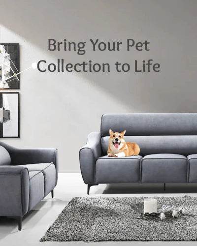 Pet Friendly Sofas