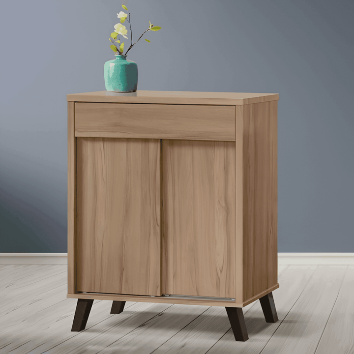 Marshall Wooden Shoe Cabinet with Sliding Door