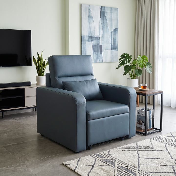 Dorevia Sofa Bed (Pet Friendly)