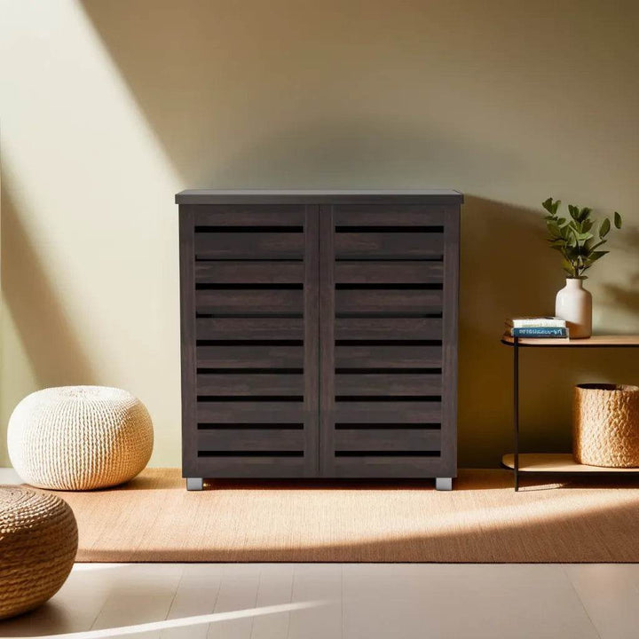 Triton 2 Door Shoe Cabinet