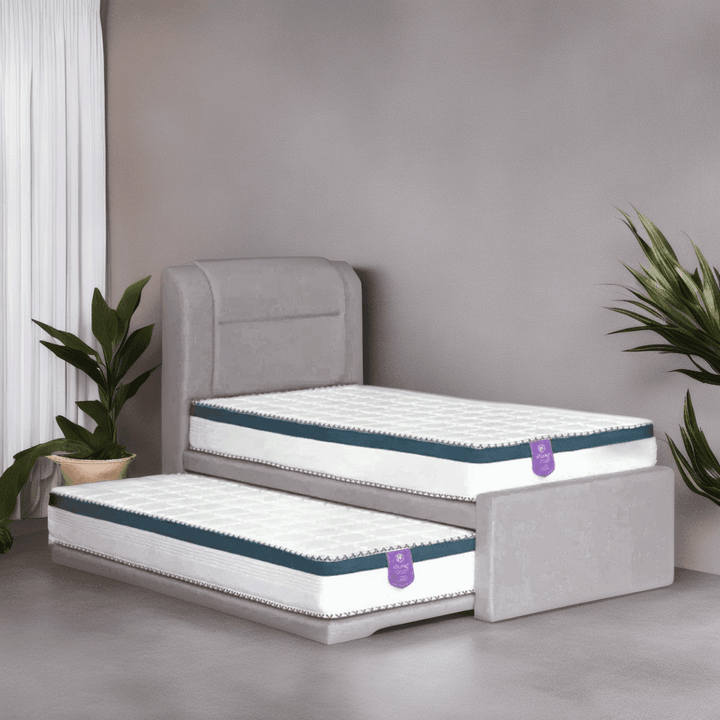 Donatello 3 in 1 Pull Out Bed + Solano Foam Mattress Promotion