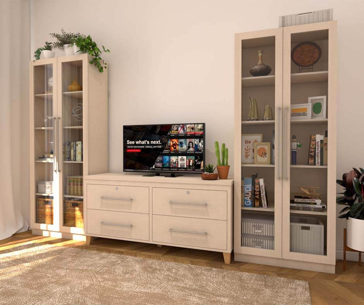 Bookshelf & Display Cabinet