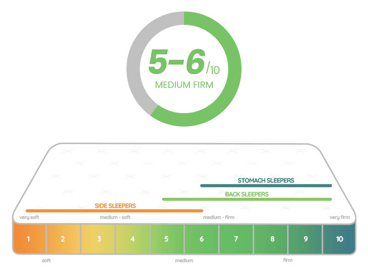 5 to 6 (Medium Firm) Mattress