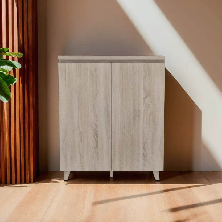 Mason 2 Door Shoe Cabinet
