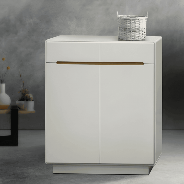 Nanda 2 Door Shoe Cabinet